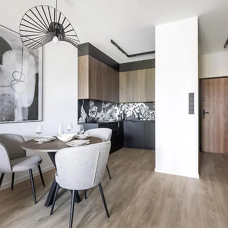 Noho Premium Apartments M&M Katowice- Centrum ,Rynek, Spodek, Mck, Nospr -Silownia, Sauna, Bilard - Free Parking Katowice